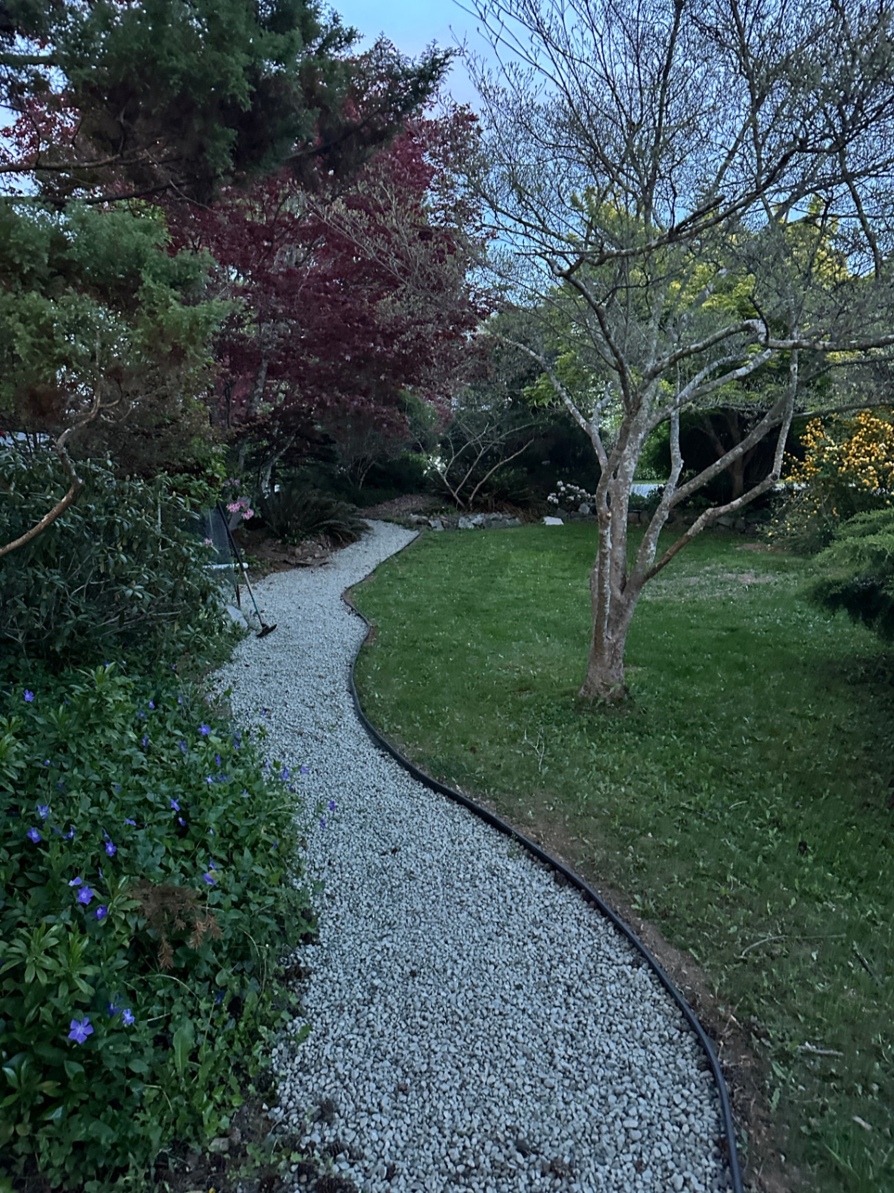 Garden path renewal & landscaping — after