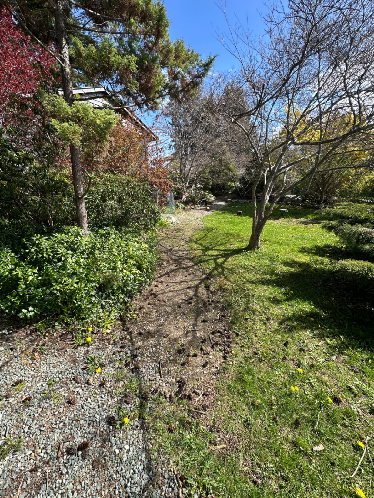 Garden path renewal & landscaping — before