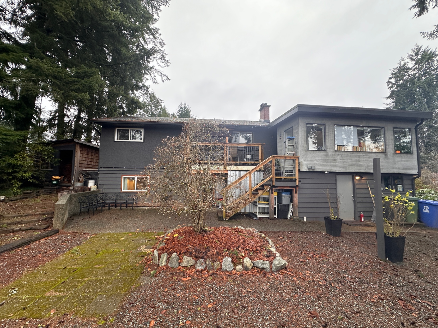 Backyard cleanup & tidy — before